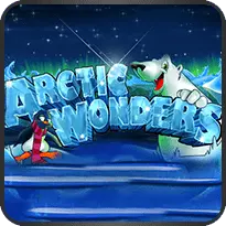 ARTIC WONDERS