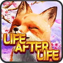 LIFE AFTER LIFE