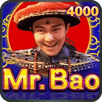 MR BAO